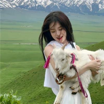 白乌鸦