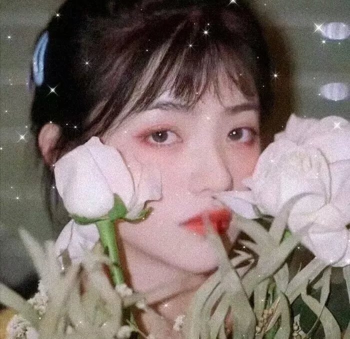 星尘芭蕾舞厅皇后